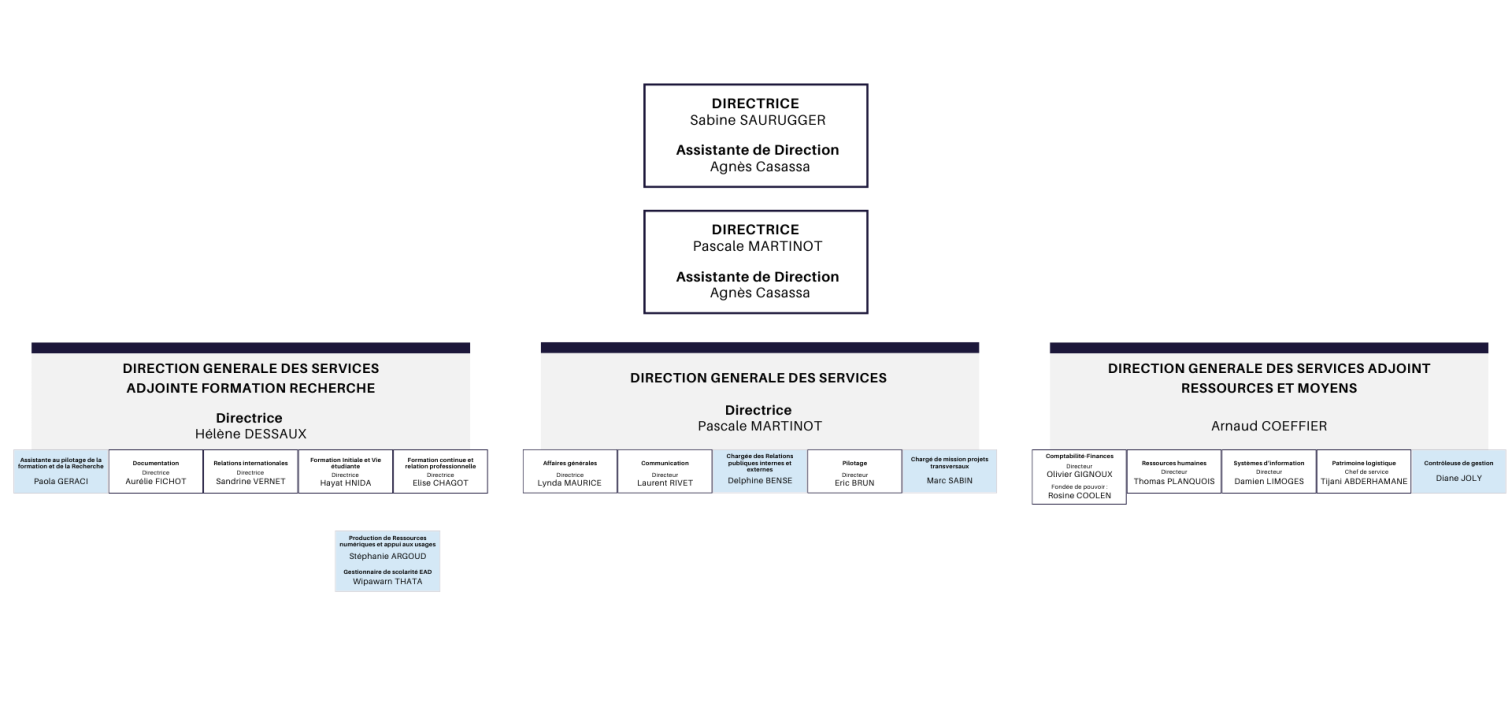 Organization chart.png